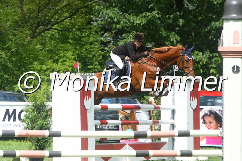 308M9914_Capigadon V Enerdie_Spring_L.JPG